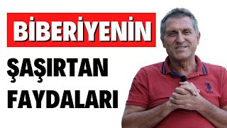 BİBERİYE ÇAYININ FAYDALARI I ROSMARİN BİBERİYE NEYE İYİ GELİR ÇAYI NASIL DEMLENİR [upl. by Nyllek]