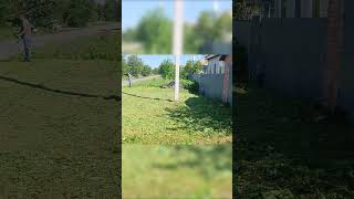 Extreme Garden Cleanup Mowing Overgrown Grass and Transforming Yards [upl. by Cutcliffe]