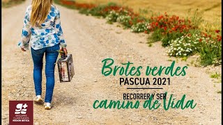 BROTES VERDES  PASCUA 2021  SEMANA 5 [upl. by Oswal]