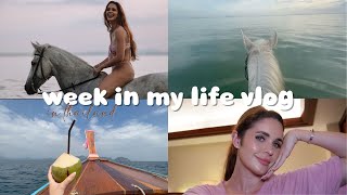 a week in my life in thailand vlog swimming with horses work meetings and boat trips [upl. by Ailisec]