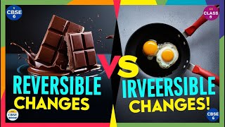 Reversible Changes Class 6 vs Irreversible Changes  Class 6 Science  CBSE English [upl. by Adlanor191]