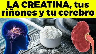 Lo que la Creatina le puede hacer a tus riñones y a tu cerebro [upl. by Lotsirk540]