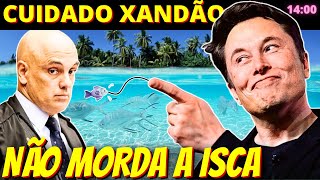 14h URGENTE  Alexandre de Moraes não pode morder a isca de Elon Musk Jaciara Machuga [upl. by Nitram867]