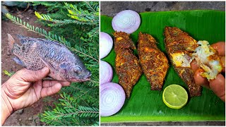 പൊരിച്ച തിലാപ്പിയ മീന്‍ 🐟  Tilapia Fish Fry in Malayalam  Easy Fish Fry Recipe  fishfry fish [upl. by Cary]