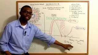 Hepatitis B Infections Pathophysiology made simple [upl. by Ledniahs553]