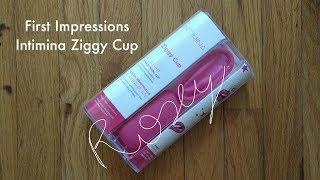 Intimina Ziggy Cup  First Impressions and Comparison to SoftCup [upl. by Nyltak156]