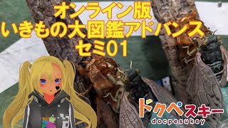 【セミオブジエンド】オンライン版いきもの大図鑑アドバンス セミ０１ディスプレイスタンドセット【セミファイナル】 [upl. by Childers368]