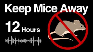 12h Mouse Repellent Noise  Random High Frequency [upl. by Heyman]