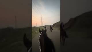 Listen  Thunder is the sound of hoofbeats in the heaven 👂 trendingshorts horse runninghorse [upl. by Tavia]