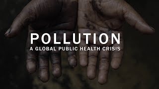 Pollution a global public health crisis [upl. by Aeneus]