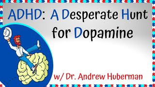 Andrew Huberman on Dopamine Levels in People with ADHD [upl. by Leann601]