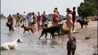 Hundestrand 07 Juli 2013 [upl. by Tingey]