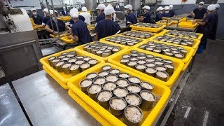 How it made Canned Tuna processing line in Factory [upl. by Acinod]