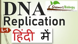 DNA replication in hindi [upl. by Etteve113]