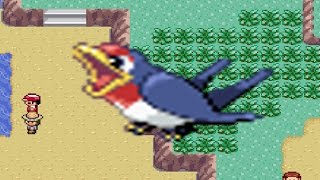 How to find Taillow in Pokemon Emerald [upl. by Joselyn]