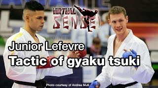 Junior Lefevre  Biomechanics and tactic of gyaku tsuki  Karate All Stars 2013 [upl. by Tait]