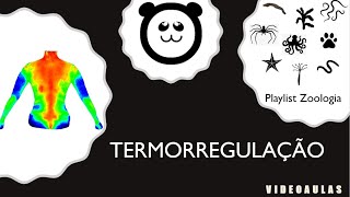 Termorregulação Endotermia Ecotermia e Mesotermia [upl. by Bonny329]