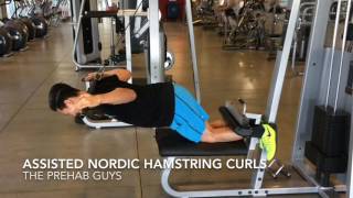 Lat Pull Down Nordic Hamstring Curl [upl. by Enirehtakyram]