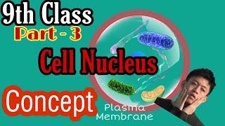 Class9th CELL Nucleus Concept DNA Chromosome Functions of Nucleus Explained by Piyush Jain Sir [upl. by Cleave47]