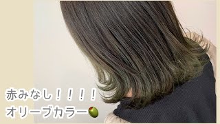 【ヘアカラー編】イルミナカラー＋カラーミューズで透明感抜群オリーブカラー [upl. by Mosnar]