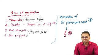 Anatomy  Muscles of Mastication by Dr Shrikant Verma [upl. by Arriaes]