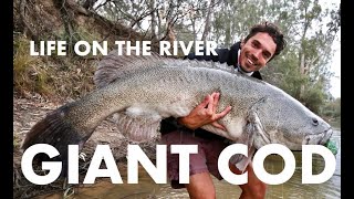 Murray River LONG range Fishing and camping trip GIANT Surface Murray Cod Week 2 [upl. by Landre]