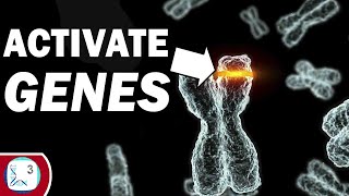 How Epigenetics Helps Us To Cure Diseases [upl. by Qooraf72]