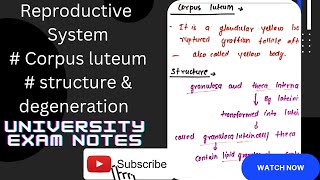 Corpus luteumfate of corpus luteumstructure of corpus luteumfunctions of corpus luteum [upl. by Malcom]