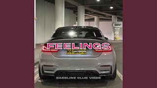 Feelings feat Levi Batkin [upl. by Eyllek]