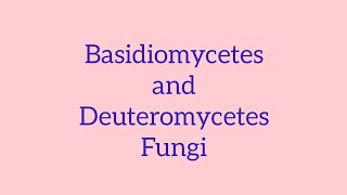 Basidiomycetes and Deuteromycetes fungi neetbiology [upl. by Nnylyar]