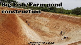 Fish Farming using Rainwater  Farm amp Fish pond Construction  Rainwater Harvesting System  pool [upl. by Ready]