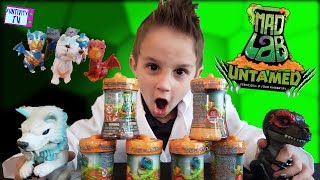 UNTAMED MAD LAB MINIS FINGERLINGS SLIME CREATURES HYBRIDS  KIDS SWITCH BODIES [upl. by Tedda]