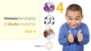 Immunophenotyping of Acute Leukemia  Part 4 of 4 [upl. by Fidelis]