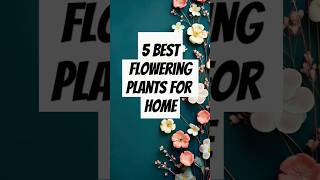 ढेर सारे फूल देने वाले पौधे 5 Best flowering plants for home  flower plants for home garden [upl. by Karyl88]