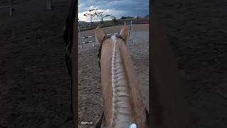 Jumping course 🐴🤭❤️ gilaryeq showjumping horse gopro horseriding fy fyp girlrider ponies [upl. by Jojo]