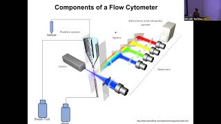 TALK 15 Introduction to Flow Cytometry  Fan Zhang [upl. by Biel]