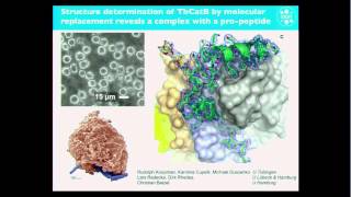 quotSingleMolecule Imagingquot by Henry Chapman DESYUniversity of Hamburg Germany [upl. by Terris]