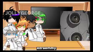 PAST TPN REACT FULL VIDEOJOLLYGEORGE [upl. by Imogene897]