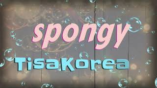 Spongy  TisaKorean Lyrics [upl. by Akimrej30]