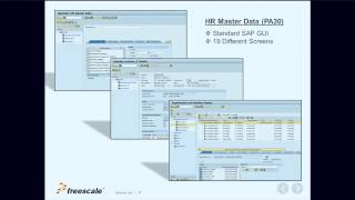 Freescale Simplifies the User Experience with SAP Screen Personas [upl. by Finah]