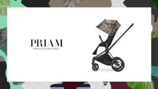 CYBEX Travel system PRIAM Butterfly with Lux Seat [upl. by Luhem]