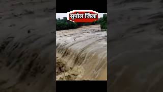 सुपौल में अचानक आया बाढ़ का तूफानsupaul saharsa araria flood news biharflood kosinadi [upl. by Tremann774]