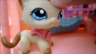 LPS  Love Story  Episode 3 [upl. by Oleg]