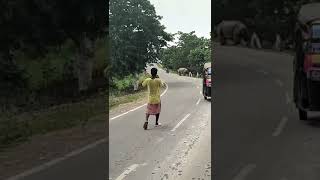 RHINO ATTACK  On Camera Biker Chased and Killed By Rhino  Pobitora Assam [upl. by Teferi237]