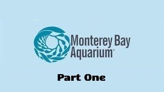 Monterey Bay Aquarium Full Tour  Monterey California  Part One [upl. by Ajiam]