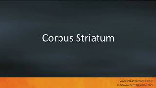 Pronunciation of the words quotCorpus Striatumquot [upl. by Anilasor]