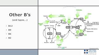 B vitamins  understanding the different forms and their role in Methylation [upl. by Thacker]