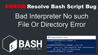 Resolve Bash Script Bad Interpreter No such File Or Directory Error [upl. by Aivatnohs]