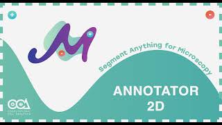 2D Annotation with Segment Anything for Microscopy [upl. by Burnight603]