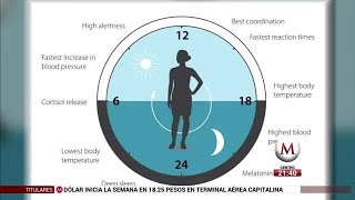 ¿Qué es el reloj biológico [upl. by Claude]